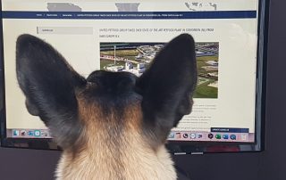 United-Petfood-takes-of-IAMS-plant-Coevorden-Netherlands