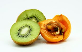 Kiwi Loquat in pet food